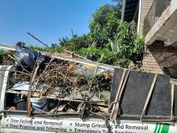 Best Dumpster Rental Services  in Bridgeport, TX